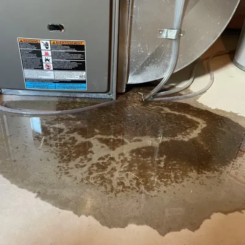 Appliance Leak Cleanup in Electric City, WA